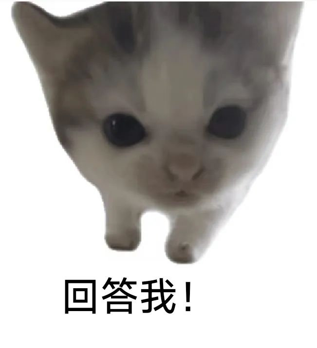 厨房瓷砖地上蹲着一只橘猫，耳朵前倾，眼睛紧盯冒热气的不锈钢锅，胡须微微颤动，尾巴圈在身侧像问号