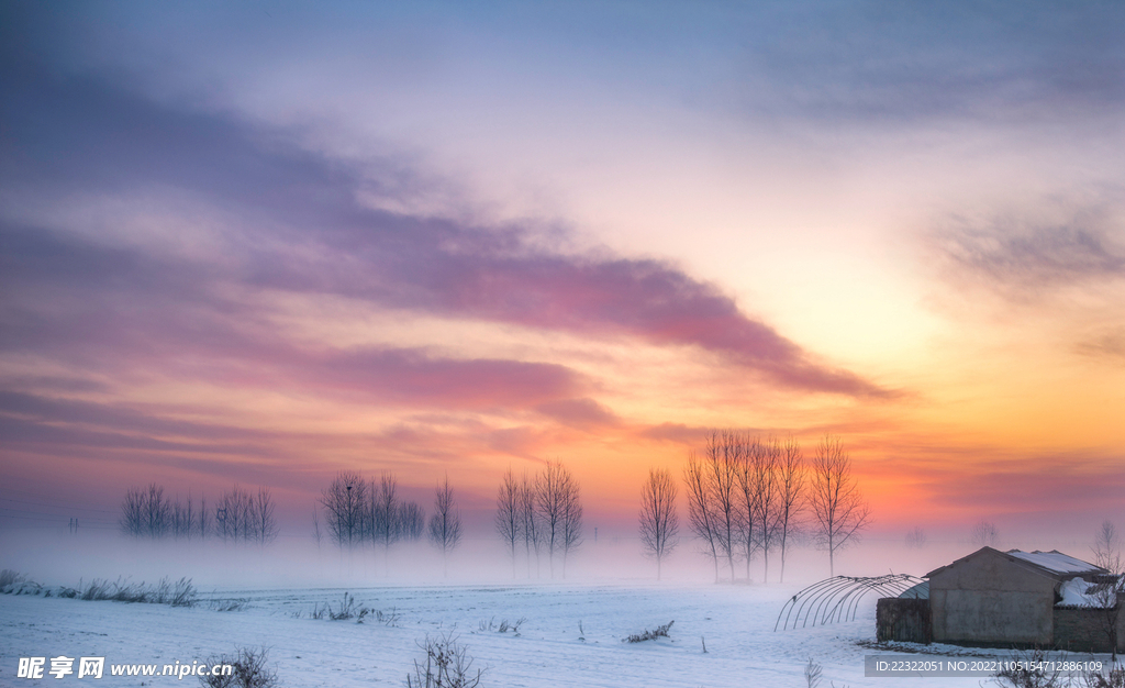 傍晚夕阳斜照，斑驳白墙上靠着五六个搪瓷盆，盆边掉漆，里头的葱挺绿，薄荷探出盆沿